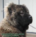 /album/kepgaleria-kelet-rettegett-kanja-back/kelet-rettegett-kanja-back-036-jpg/